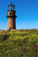 Autumn Wildflowers Around Lighthouse